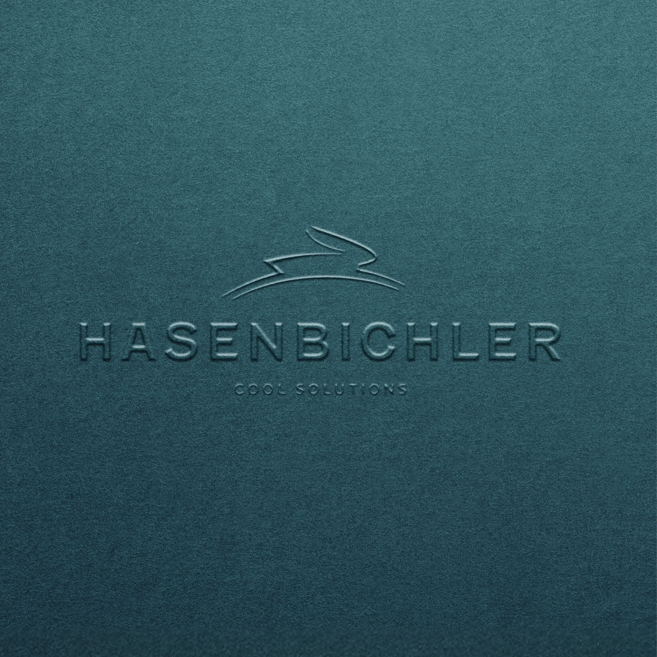 Hasenbichler Solutions Übersichtsbild