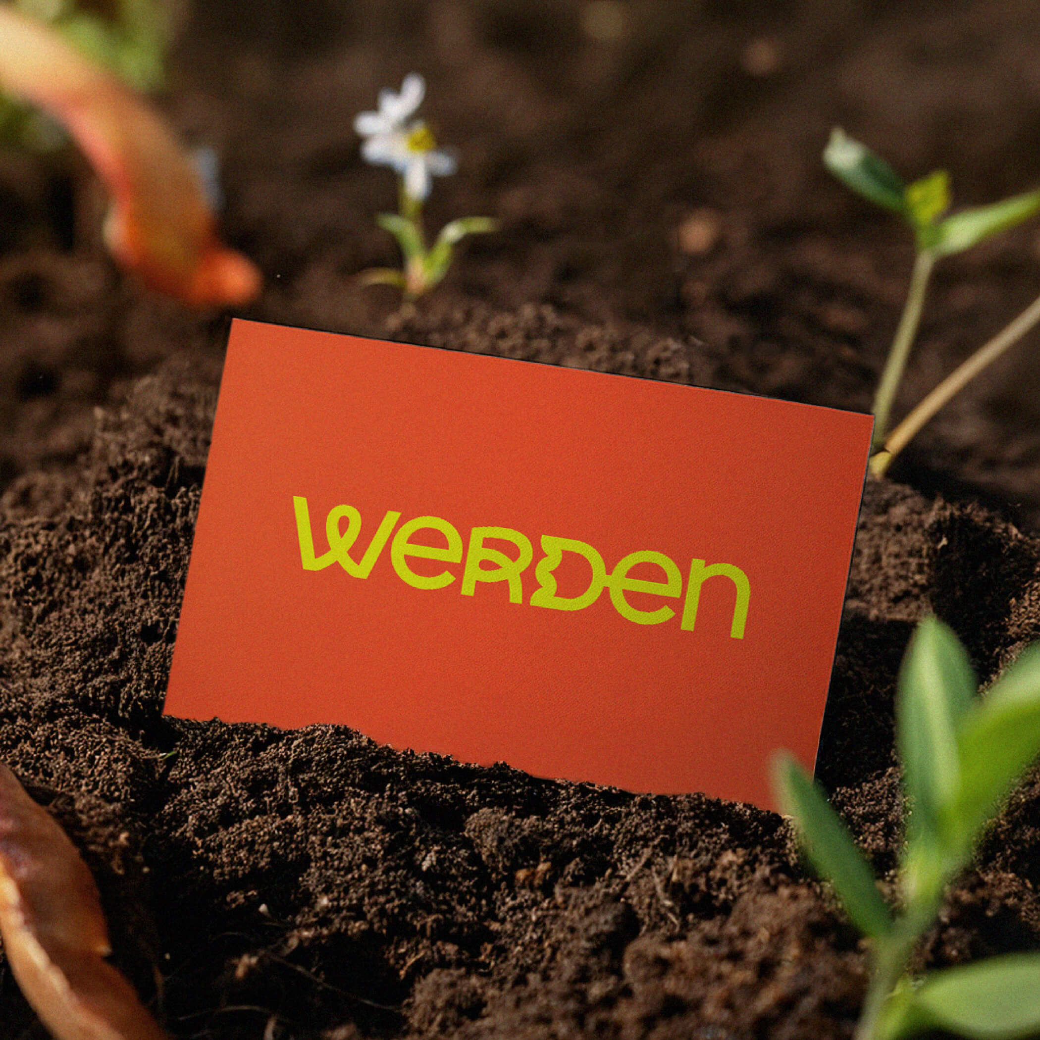 Werden Erden Übersicht