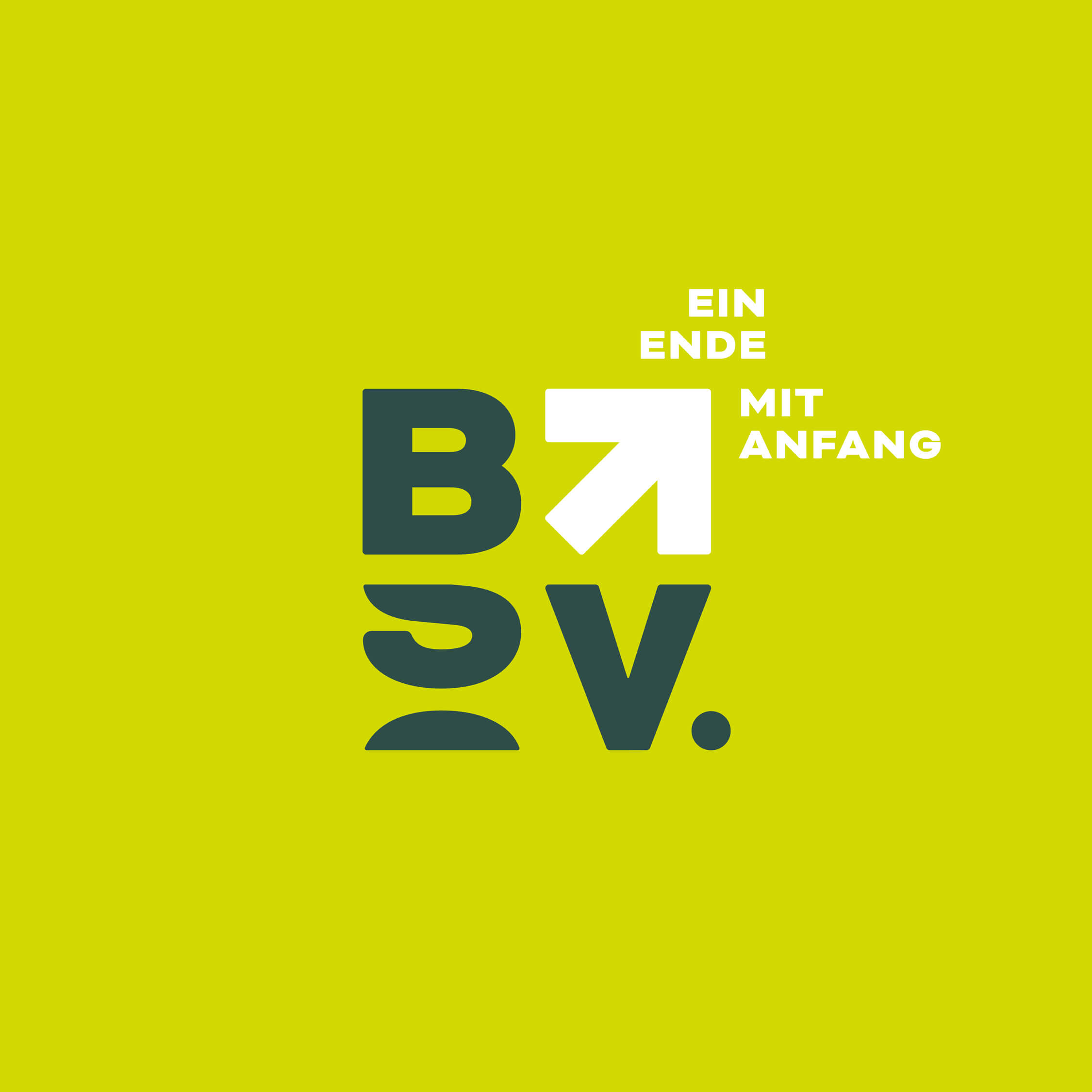Übersicht Logo BSV Lungau